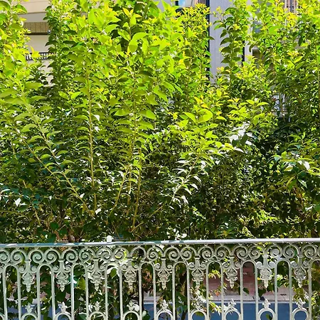 Apartamento Suite169 Black Bari